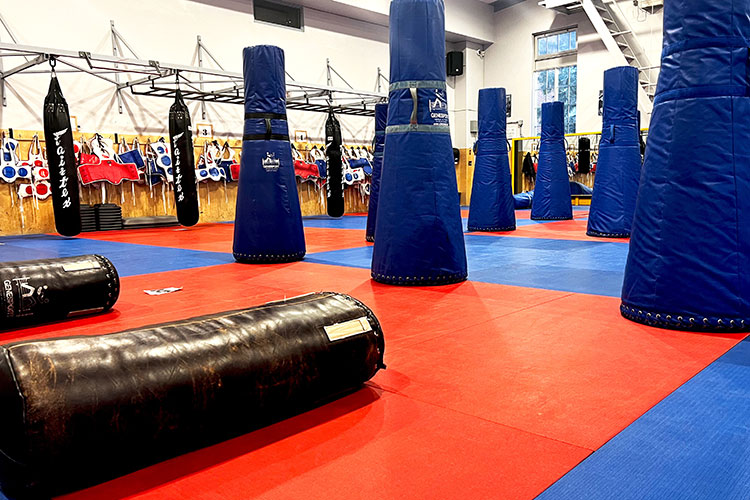 Police defensive tactics gym with mats