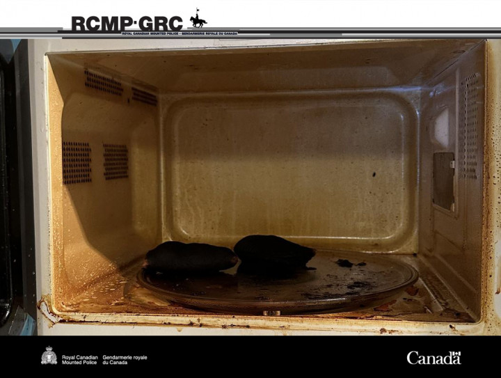 Two blackened, burnt items in a microwave