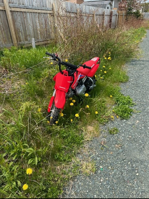 Une moto hors route Honda CRF-50 rouge est stationnée sur le gazon d'une propriété résidentielle, à côté d'une clôture.