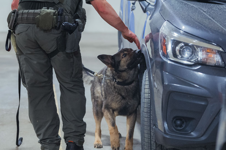 Police dog services