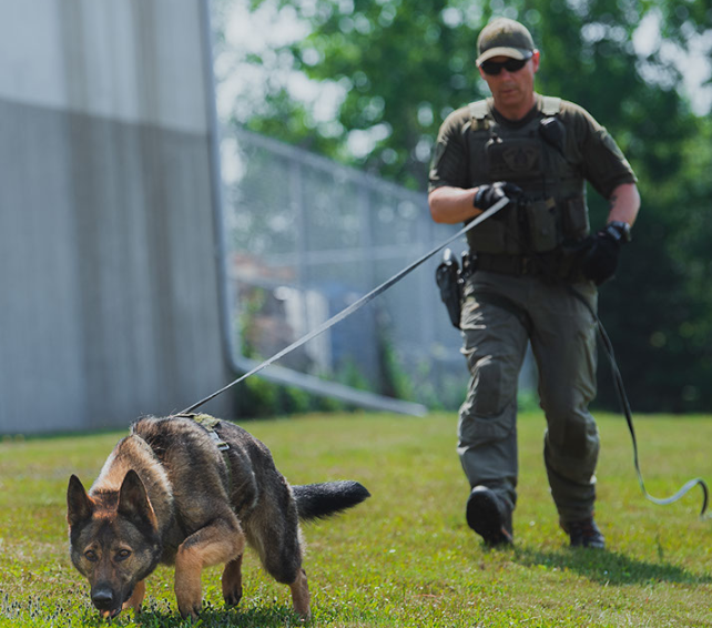 Police dog services 