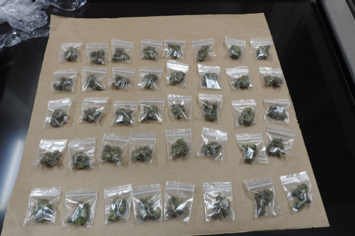 Photo of cannabis seized
