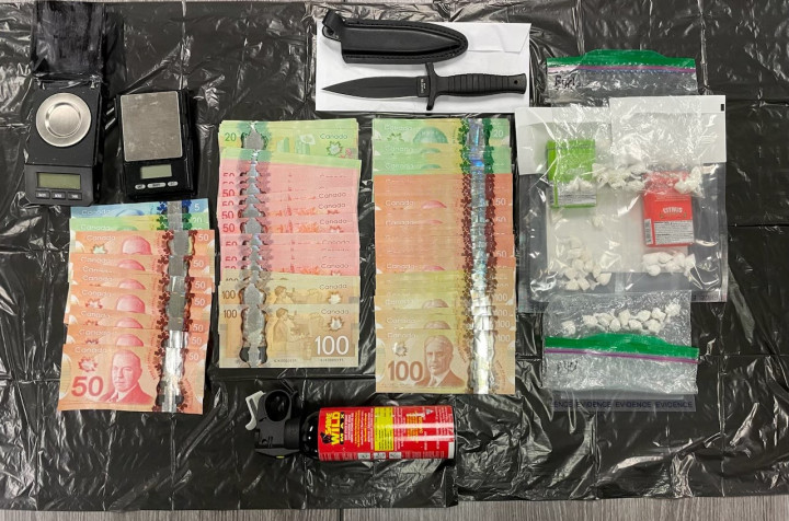 seized approximately 42 grams of cocaine, drug trafficking paraphernalia, bear spray, and a sum of cash 